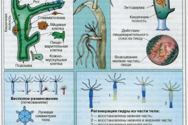 Kraken официальный сайт kraken11