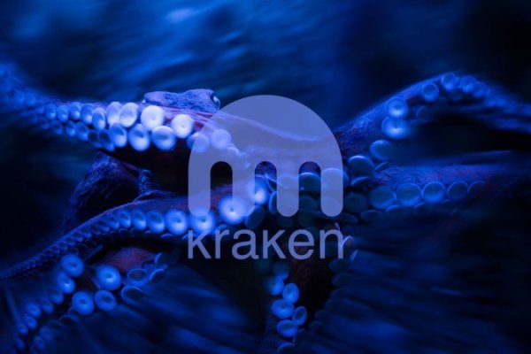 Kraken com login