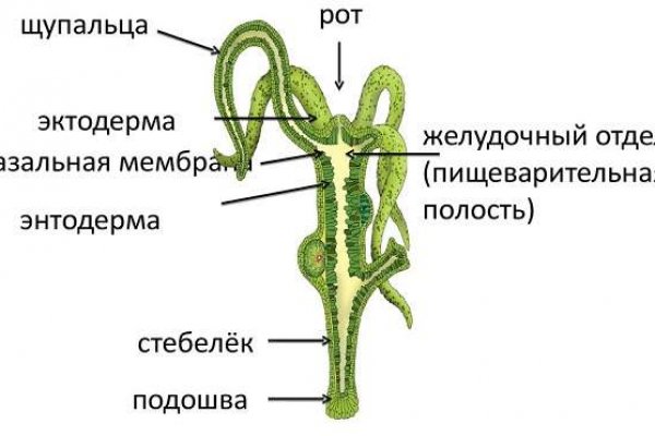 Кракен маркет тор