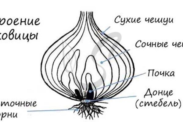 Онлайн магазин наркотиков